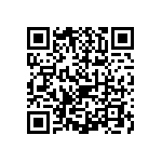 1206J3001P90HQT QRCode