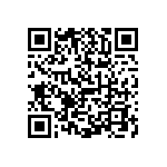 1206J5006P80BQT QRCode