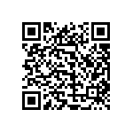 1206Y3000150FQT QRCode