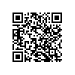 1210J2500333MXT QRCode