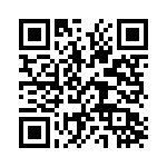 1295_17B QRCode