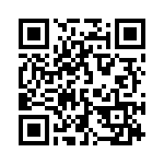 130054 QRCode