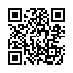 130090 QRCode