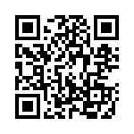 130228 QRCode