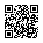 130539 QRCode