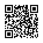 13132025 QRCode