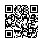 13195-417FQR-W QRCode