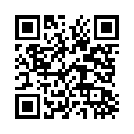 132101 QRCode