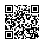 132117 QRCode