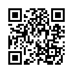 132117RP QRCode