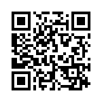 132135 QRCode