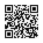 132170 QRCode