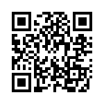 132172RP QRCode