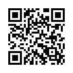 132178RP QRCode