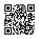 132203RP QRCode
