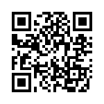 132313-1 QRCode