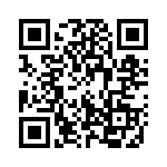 132331-1 QRCode