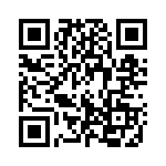 13391-1 QRCode