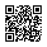 133953-2 QRCode