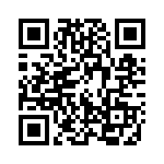 1376383-1 QRCode