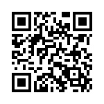 15010404601333 QRCode