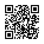 160013 QRCode