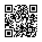 160597-4 QRCode