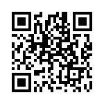 1613517 QRCode