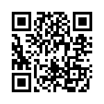 1613619 QRCode