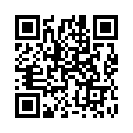 1619009 QRCode