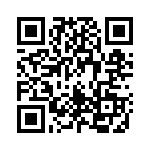 1619599 QRCode