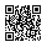 1620704 QRCode