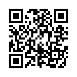 163A04079A QRCode