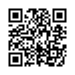 163A13089X QRCode