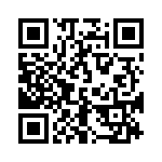 163A17409X QRCode