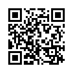 165T22 QRCode