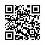 165X13129X QRCode