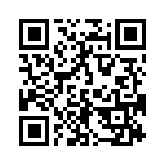 165X13369XE QRCode