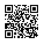 166P10 QRCode