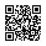 167333J250B-F QRCode