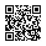 167333K250B-F QRCode