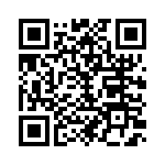 1691197303 QRCode