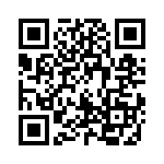 17011541204 QRCode