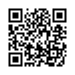 17041541007 QRCode