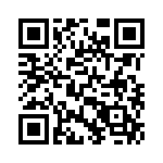 17131271202 QRCode