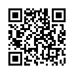 1713201038 QRCode