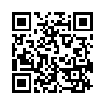 171334J160G-F QRCode