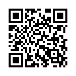 17291-3PG-300 QRCode