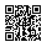 1729530602 QRCode