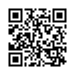 1738704 QRCode